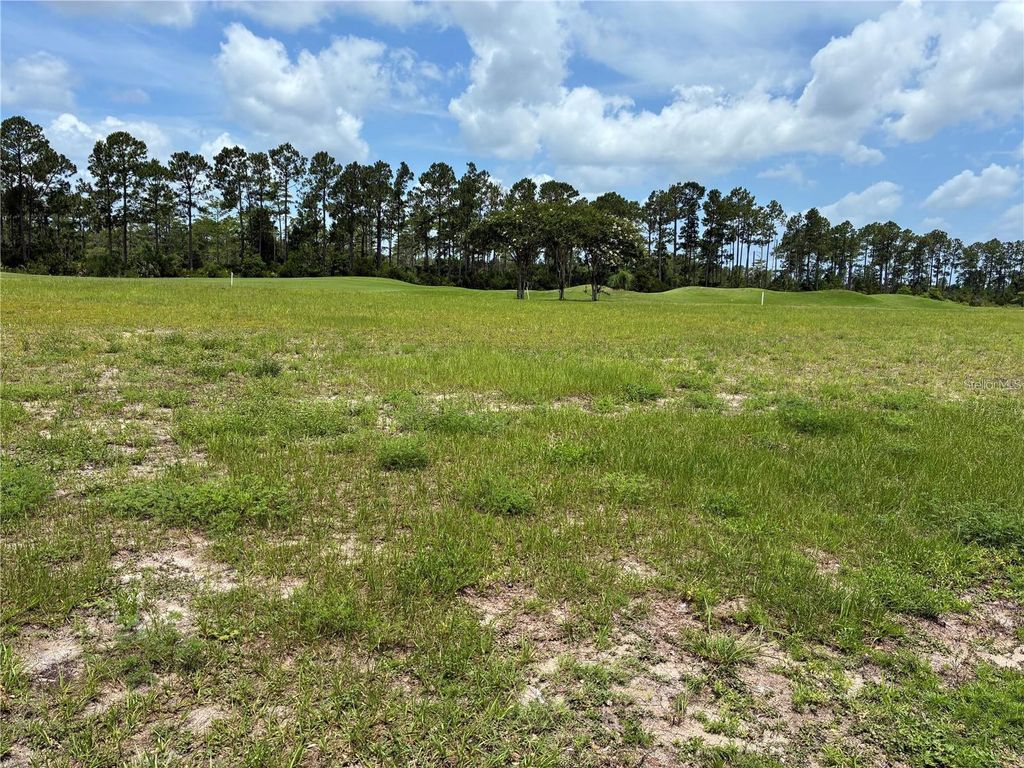 Photo of 406 Bourganville Drive, Palm Coast, FL 32137 (MLS # FC313078)