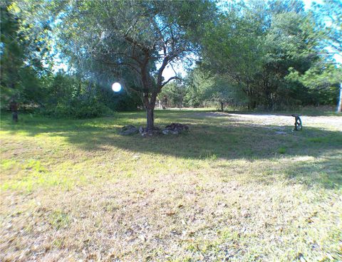 Photo of Sequoia Drive Trace, Ocklawaha, FL 32179 (MLS # OM724061)