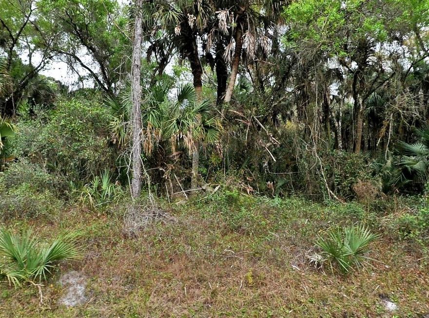 10,000 Sq. Ft. lot available Close to I-75, close to Warm Mineral Springs, Shopping & Entertainment