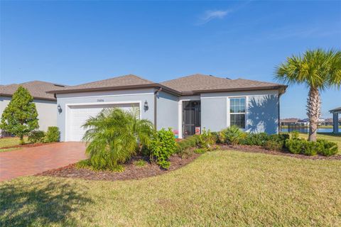 A home in LAND O LAKES