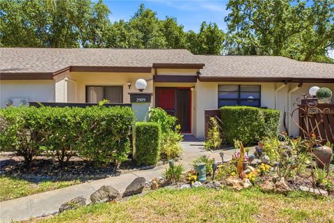 Photo of 2909 Fig Court, Palm Harbor, FL 34684 (MLS # TB8506291)