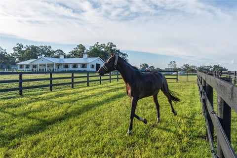 Tiny photo for 663 NW 80th Avenue, Ocala, FL 34482 (MLS # OM724025)