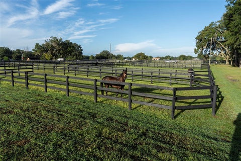 Tiny photo for 663 NW 80th Avenue, Ocala, FL 34482 (MLS # OM724025)