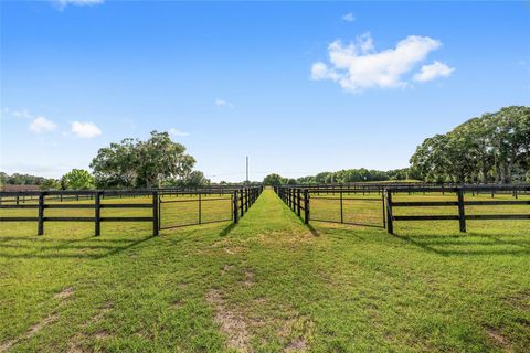 Tiny photo for 663 NW 80th Avenue, Ocala, FL 34482 (MLS # OM724025)