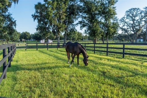 Tiny photo for 663 NW 80th Avenue, Ocala, FL 34482 (MLS # OM724025)