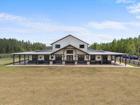 Photo of 11657 Moore Road, Lakeland, FL 33809 (MLS # A4650676)