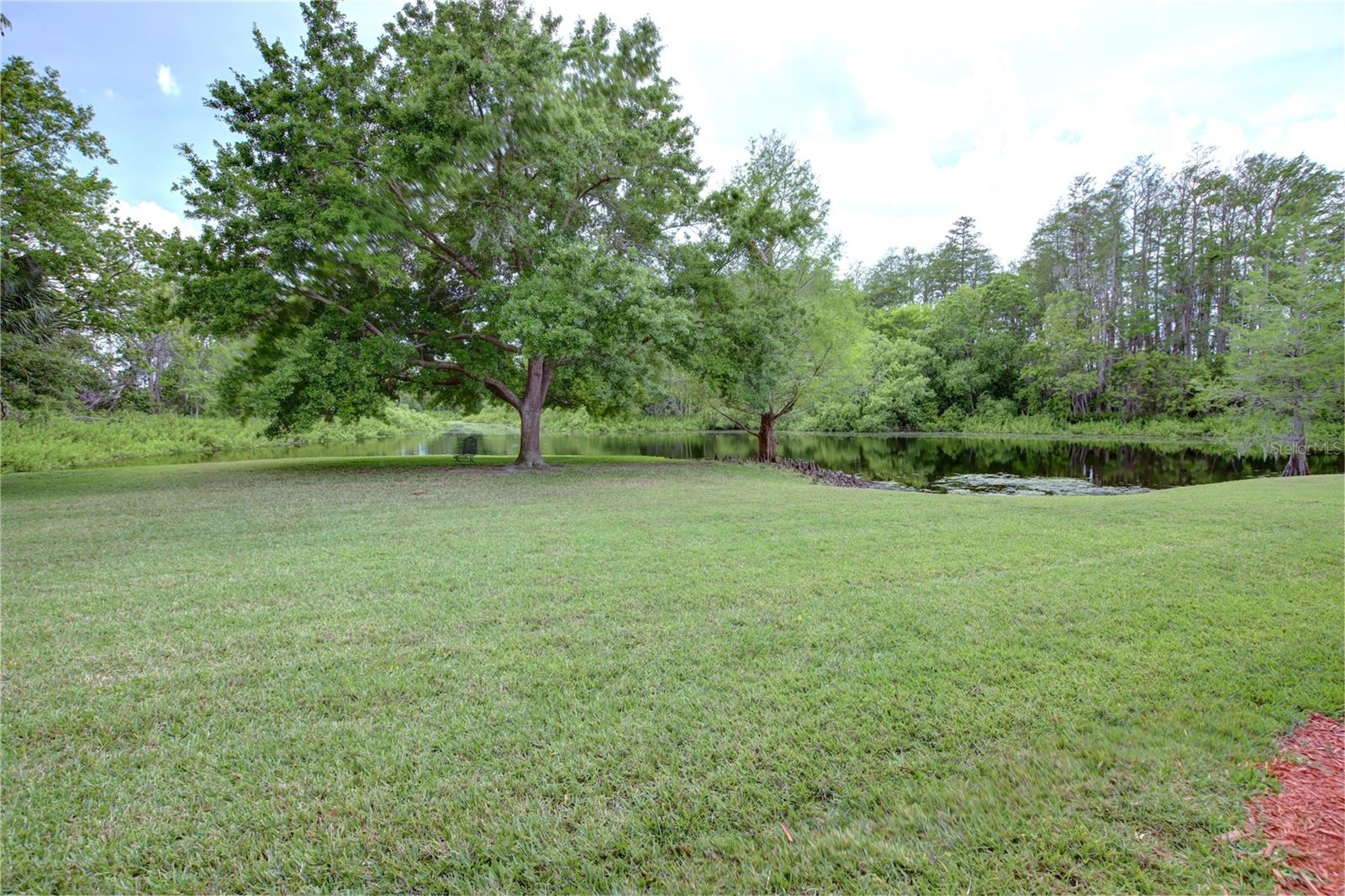 CYPRESS CREEK GOLF TWNHMS - Residential