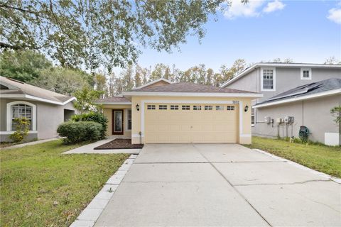7852 CITRUS BLOSSOM DRIVE LAND O LAKES FL 34637