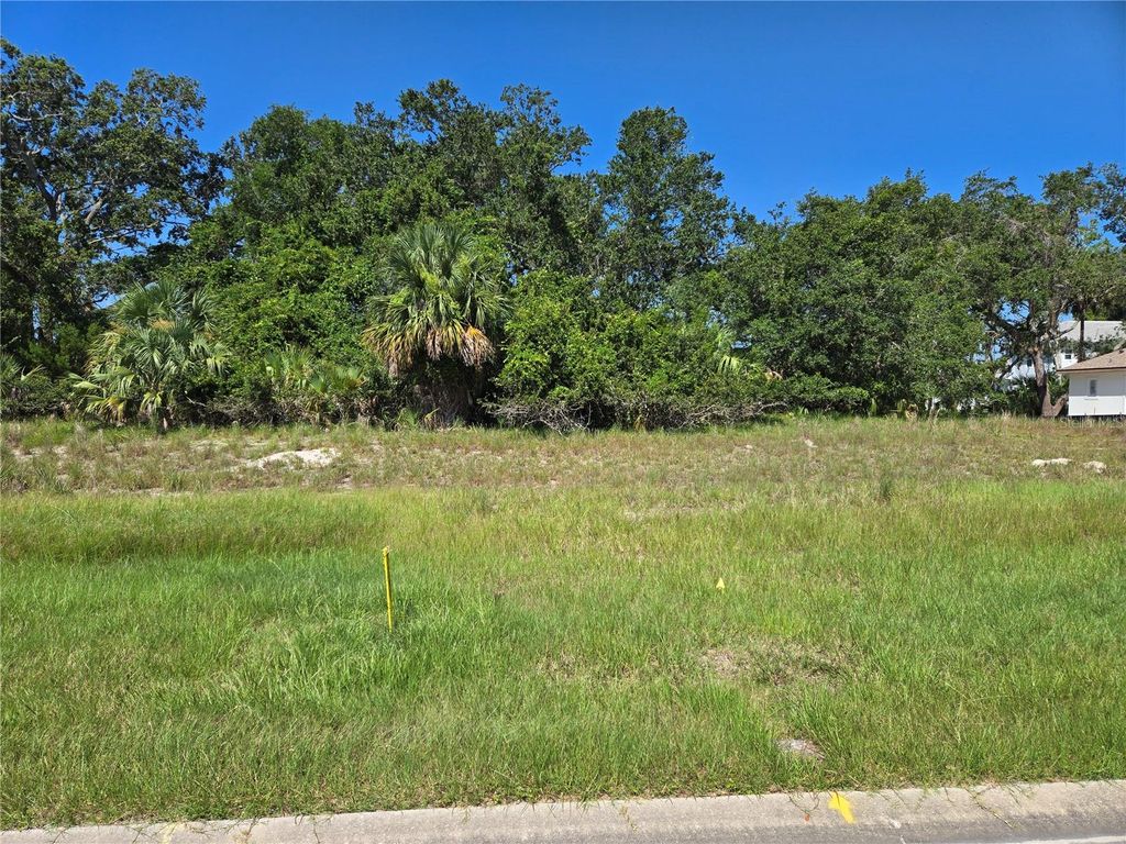 Photo of 65 Old Oak Drive S, Palm Coast, FL 32137 (MLS # FC311708)
