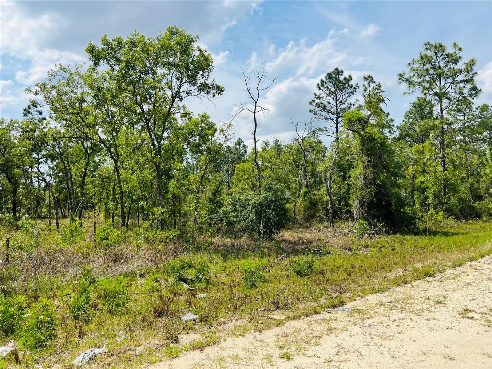 ALERT..ALERT...Builders, Developers , Investors & Others--Available Now FOR SALE A Beautiful 10-ACRE TRACT With (10) Side By Side 1-Acre Home Sites Located In The Subdivision Of Williston Highlands! You Can Purchase all Ten Acres -Or- Individual Lots. This Property is Zoned Rural Residential Allowing For On Site Built Homes or Manufactured Homes with No HOA Offering You Flexibility In How You Use Your Property. These (10) One-Acre Side By Side New Construction Sites Are Elevated, High and Dry with Beautiful Trees. This 10-Acre Tract is Located Off NE 4TH street, NE 131ST Terrace, NE 2ND Street & NE 132ND Terrace and Just A Beautiful 8 Mile Drive Into Williston For Shopping & Dining + More...Short Drive To Historic Dunnellon's Town Square and The New World Equestrian Center in Ocala, FL.
