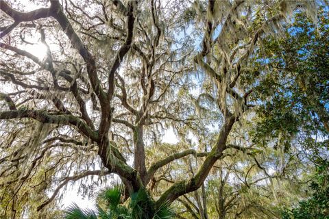 A home in BROOKSVILLE