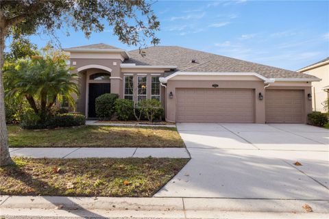Photo of 20261 Ravens End Drive, Tampa, FL 33647 (MLS # TB8465267)