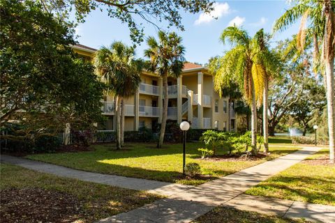 A home in PALM HARBOR