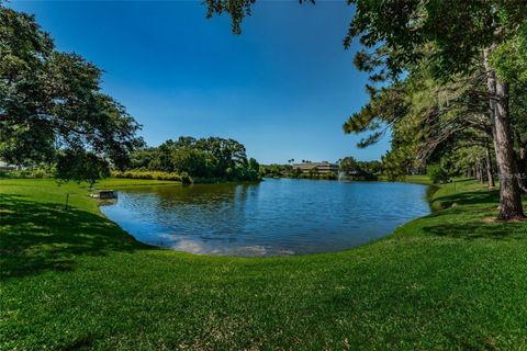 A home in PALM HARBOR