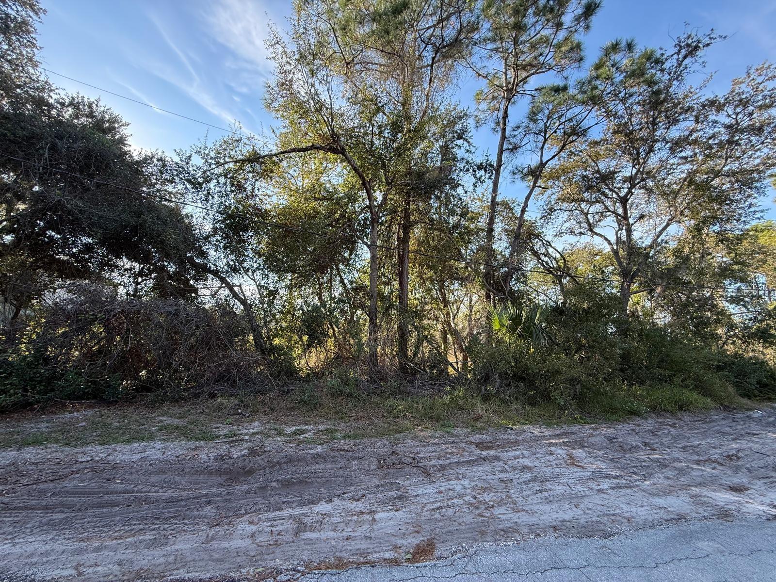 DELTONA LAKES UNIT 59 - Land