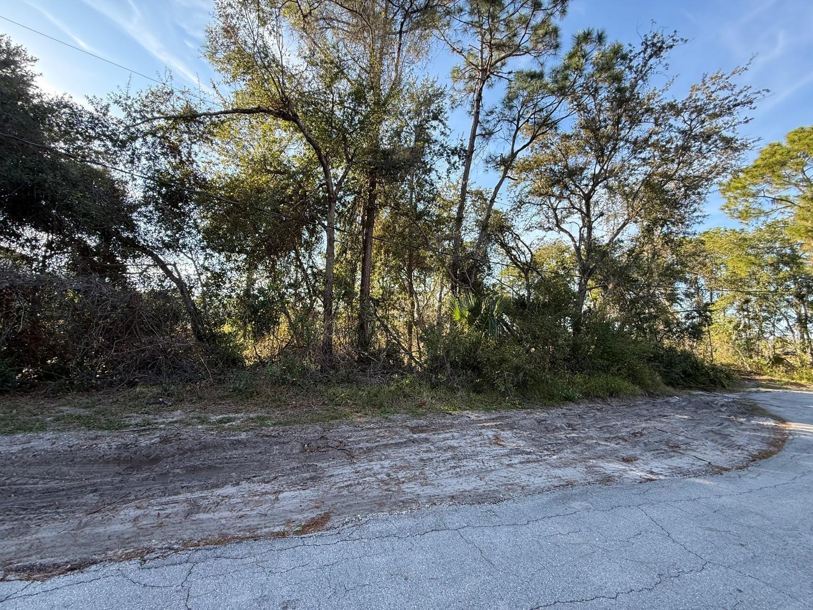 DELTONA LAKES UNIT 59 - Land
