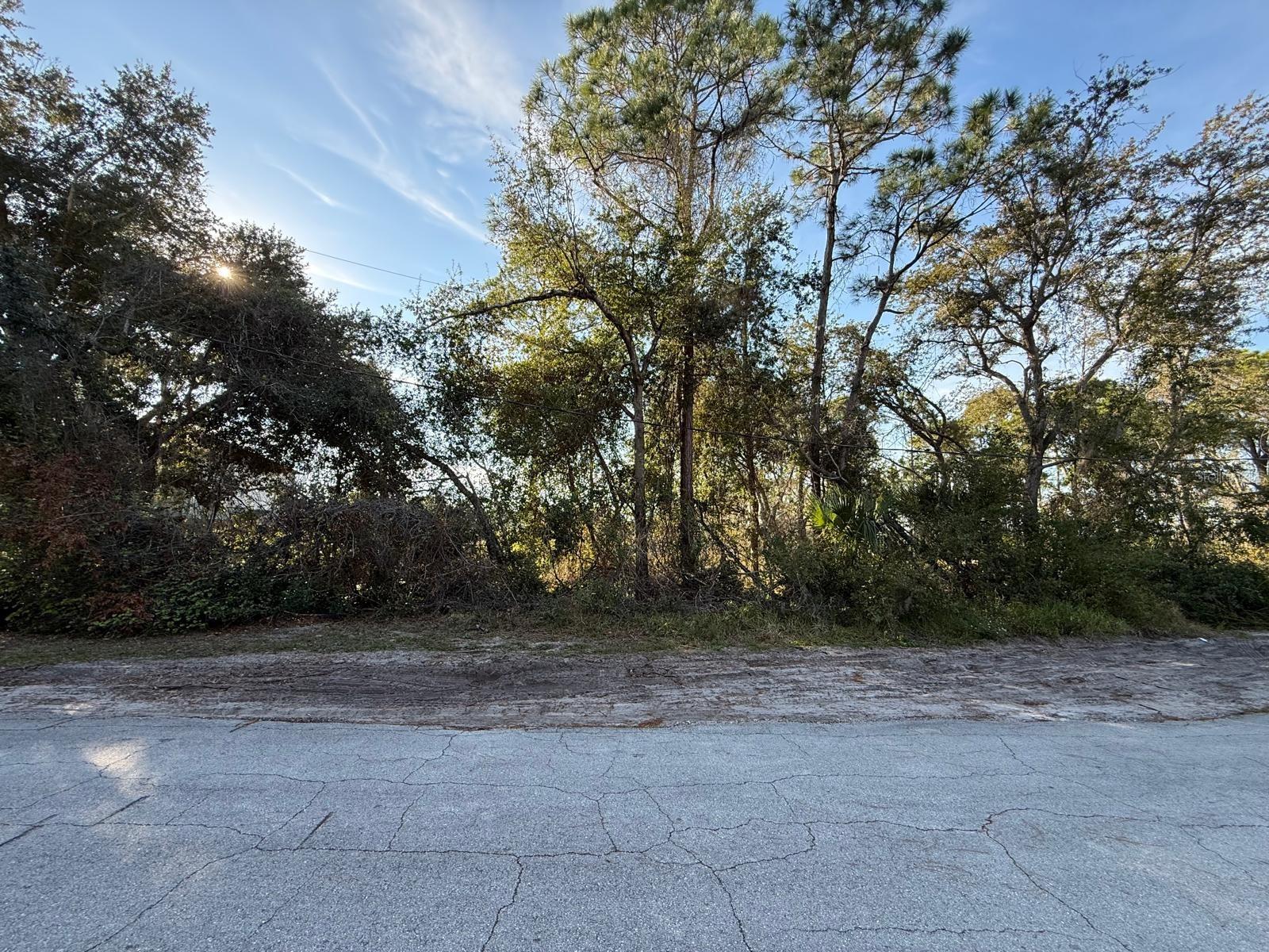DELTONA LAKES UNIT 59 - Land