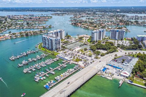 A home in ST PETE BEACH