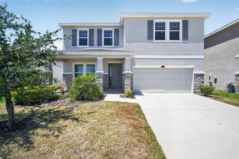 Photo of 15394 Sweet Springs Bend, Odessa, FL 33556 (MLS # O6407462)