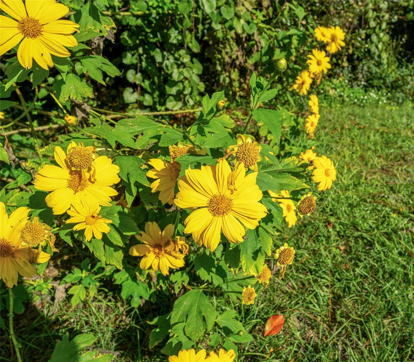 RIVERSIDE ESTATES - Residential