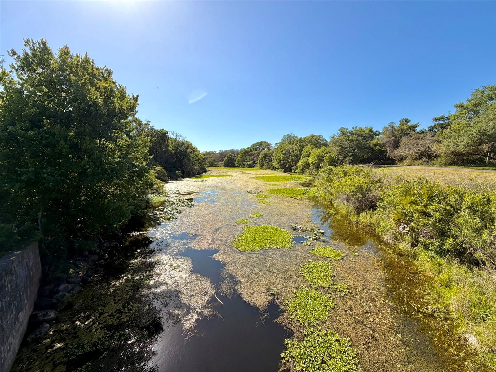 BRIGADOON OF CLEARWATER - Residential