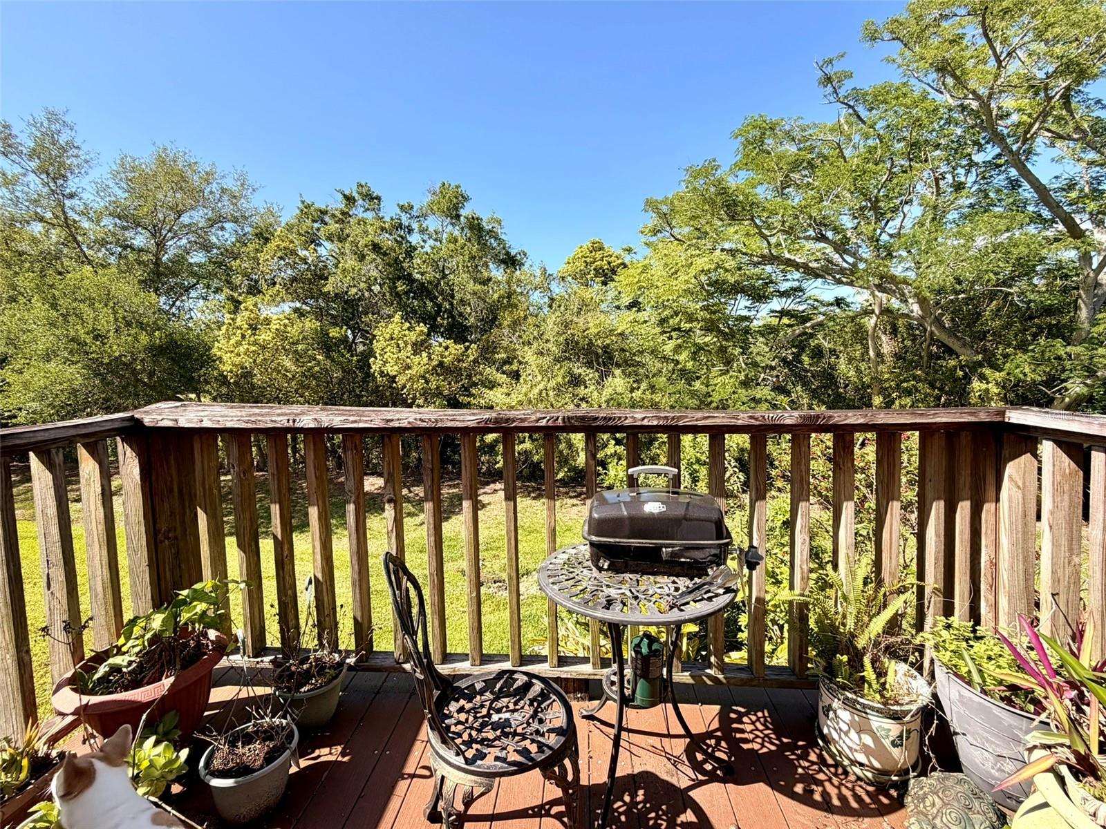 BRIGADOON OF CLEARWATER - Residential