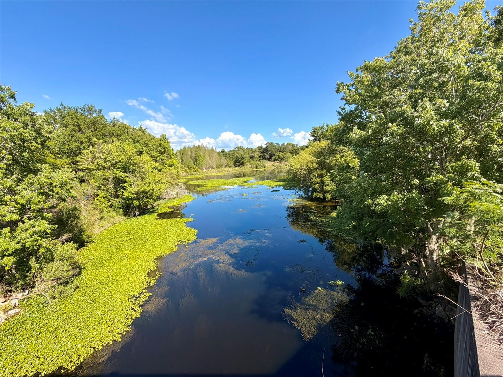 BRIGADOON OF CLEARWATER - Residential