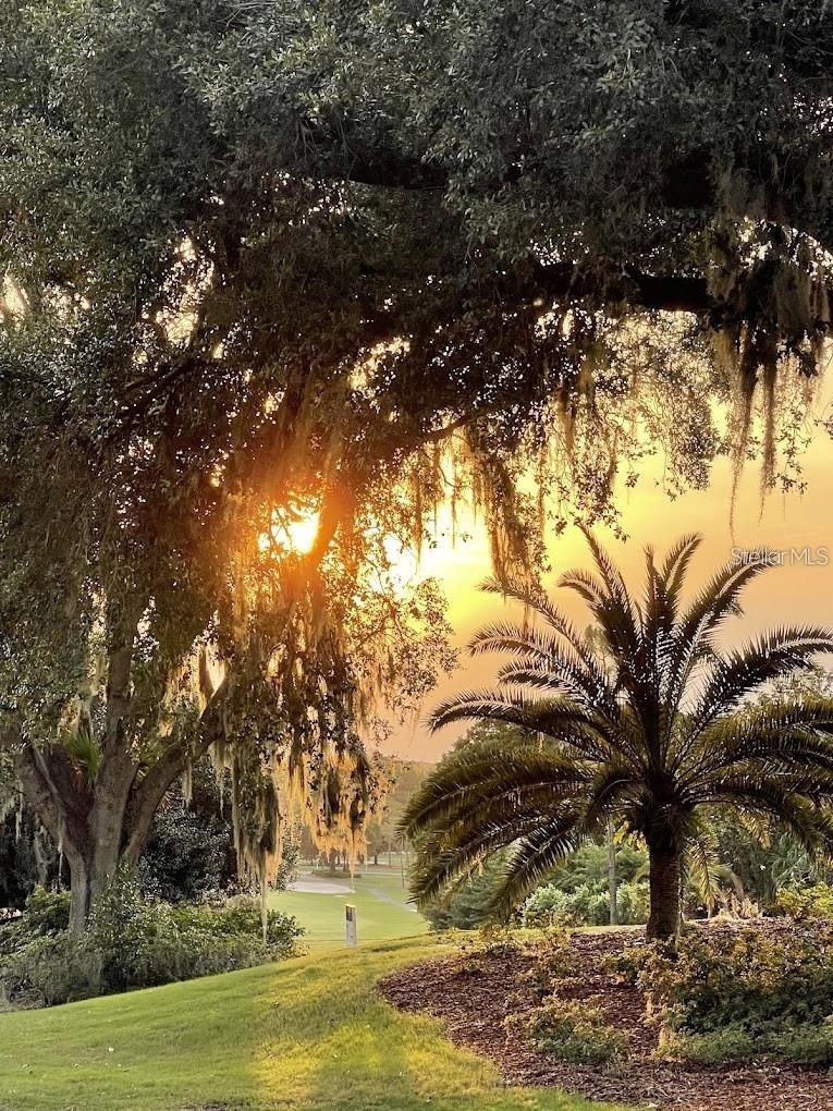 LAS COLINAS PH I SUB - Land