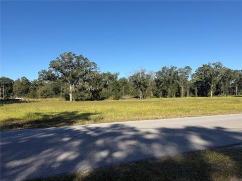 Tiny photo for 194 Avenue SW, Dunnellon, FL 34432 (MLS # S5160296)