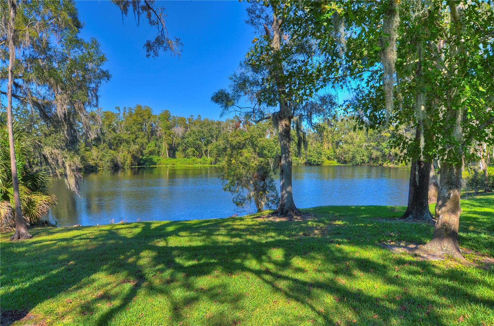 RAVINIA PH 1 - Residential