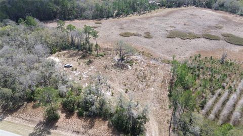 E HWY 316 CITRA FL 32113