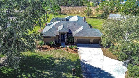 A home in WESLEY CHAPEL