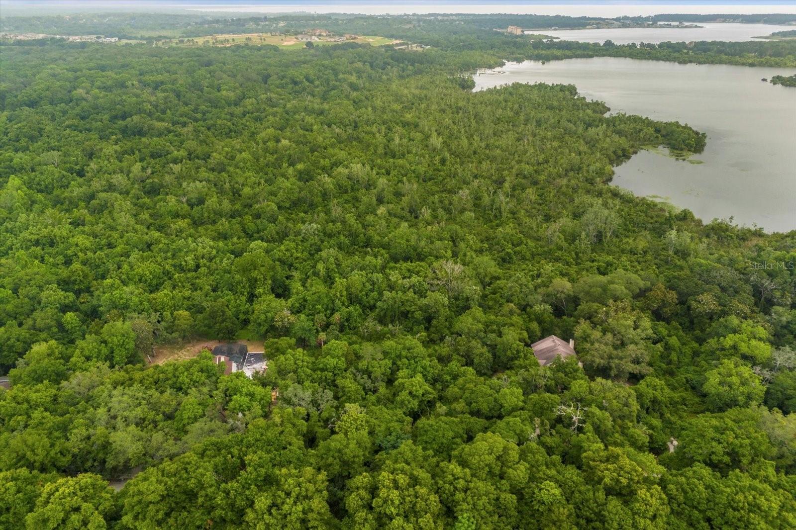 Beautiful property near Lake Apopka! Ideal for Builders, Investors or Developers!! Endless possibilities for this amazing 5.15 acre parcel that has a natural running spring on it. Whether looking to build a magnificent dream home, or add to an investment portfolio this is a rare property. This one of a kind property of in a wonderful location in a quiet area of Montverde. The property is surrounded by custom homes and offers endless possibilities. Don't miss out, schedule a showing today!