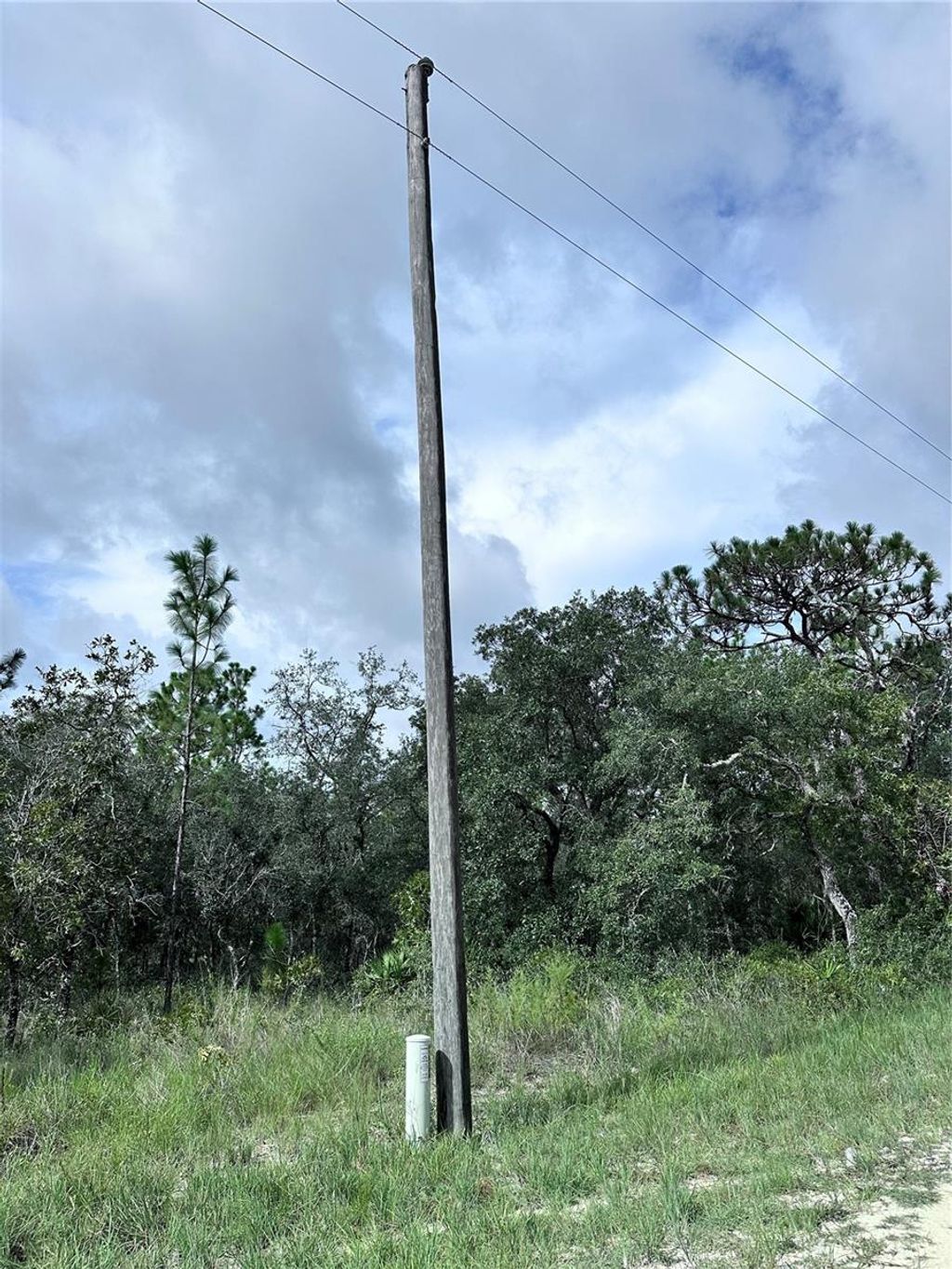 Photo of Scaup Duck Avenue, Weeki Wachee, FL 34614 (MLS # TB8401124)