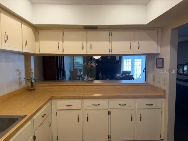 THE VILLAGE - Residential