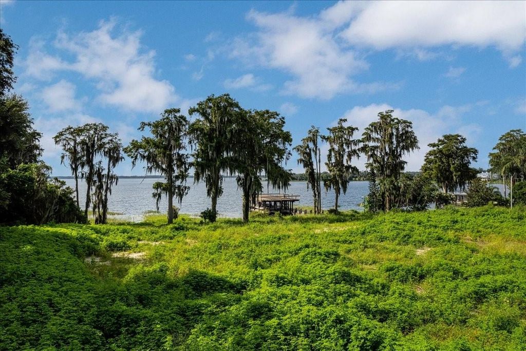 Photo of 12422 Park Ave, Windermere, FL 34786 (MLS # O6416090)