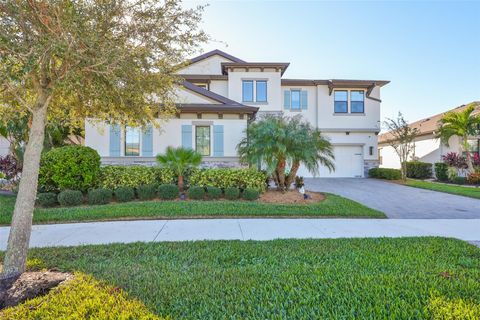 A home in RIVERVIEW