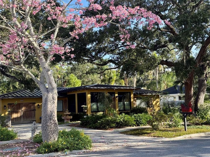 RARE OPPORTUNITY to own a true unicorn in Downtown Dunedin!! Entertainers dream come true! Welcome home to this meticulously maintained and thoughtfully updated 2-bedroom, 2-bathroom masterpiece that has never flooded.  From the moment you arrive, your eyes won’t know where to look first. Will it be the breathtaking views of St. Joseph Sound, the custom-fabricated metal roof, new copper oversized gutters, custom pecky cypress garage doors with matching shutters, or the award-winning native Florida landscaping surrounding the property?
Step out onto the newly poured concrete driveway, listen to the tranquil water feature, and follow the hand-laid flagstone pavers to the matching pecky cypress front door. Open the door and prepare to be amazed. The front porch, poured with a 16' slab, features storefront high-impact glass on all windows and its own A/C unit for year-round comfort—perfect in every season.
Inside, you’ll immediately notice the wide-open layout with gorgeous Spanish-style ceramic tile flowing throughout the home. The primary bedroom showcases a custom Moroccan tile accent wall and a solid iron claw-foot tub, while the second full bath features a beautifully curved stone shower—each space highlighting the home’s distinctive craftsmanship.
Continue through the living area to the kitchen, where solid maple cabinetry, brand-new stainless-steel appliances, and a suspended pot rack create a perfect blend of functionality and style. The adjoining second living room, filled with natural light, features a custom-tiled fireplace and French doors leading to your private backyard oasis.
Out back, a deep covered porch with a custom cypress pergola and a designer concrete-and-flagstone water feature provides a serene setting for relaxing or entertaining. Sitting on nearly a quarter acre, this lot offers plenty of space to add a pool if desired.
Don’t miss this rare opportunity to make 266 Lyndhurst Street your new home.