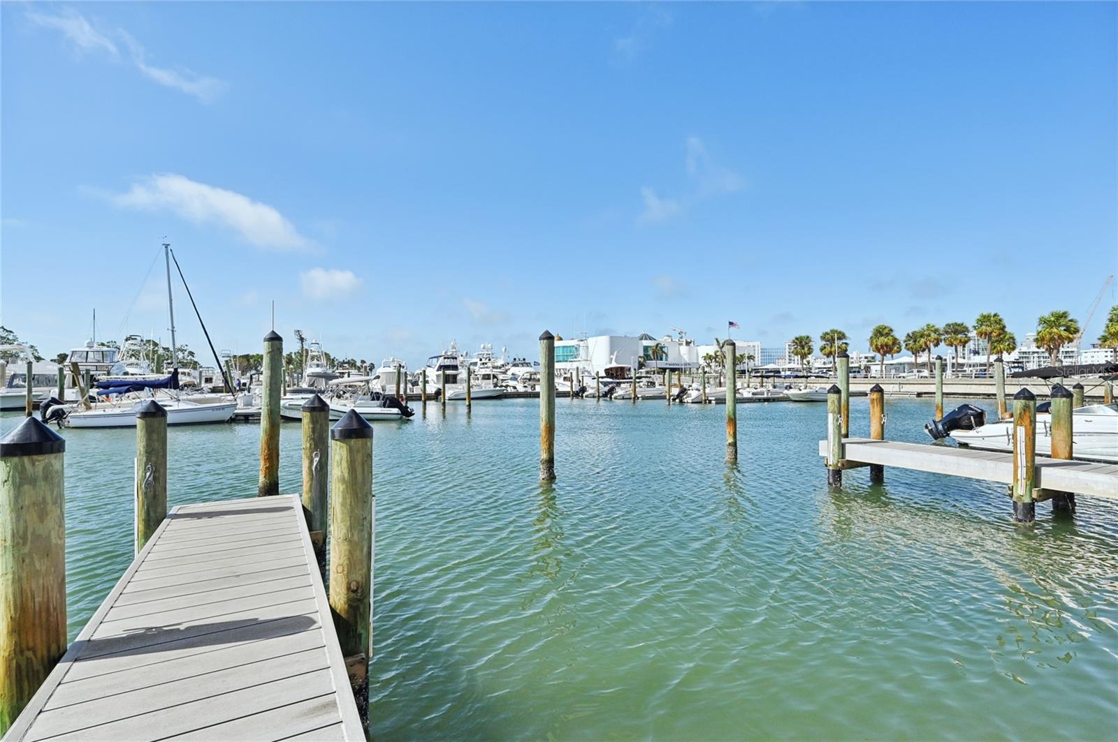 RIVO AT RINGLING - Residential