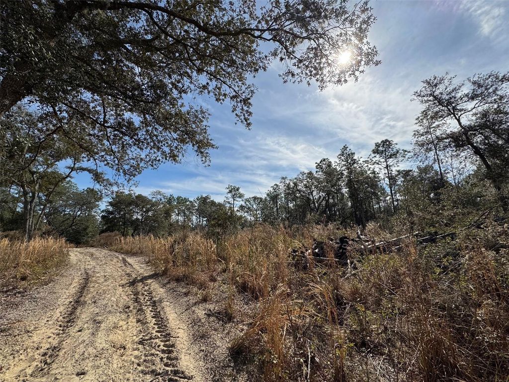 Photo of SW 175th Court, Dunnellon, FL 34432 (MLS # OM694021)