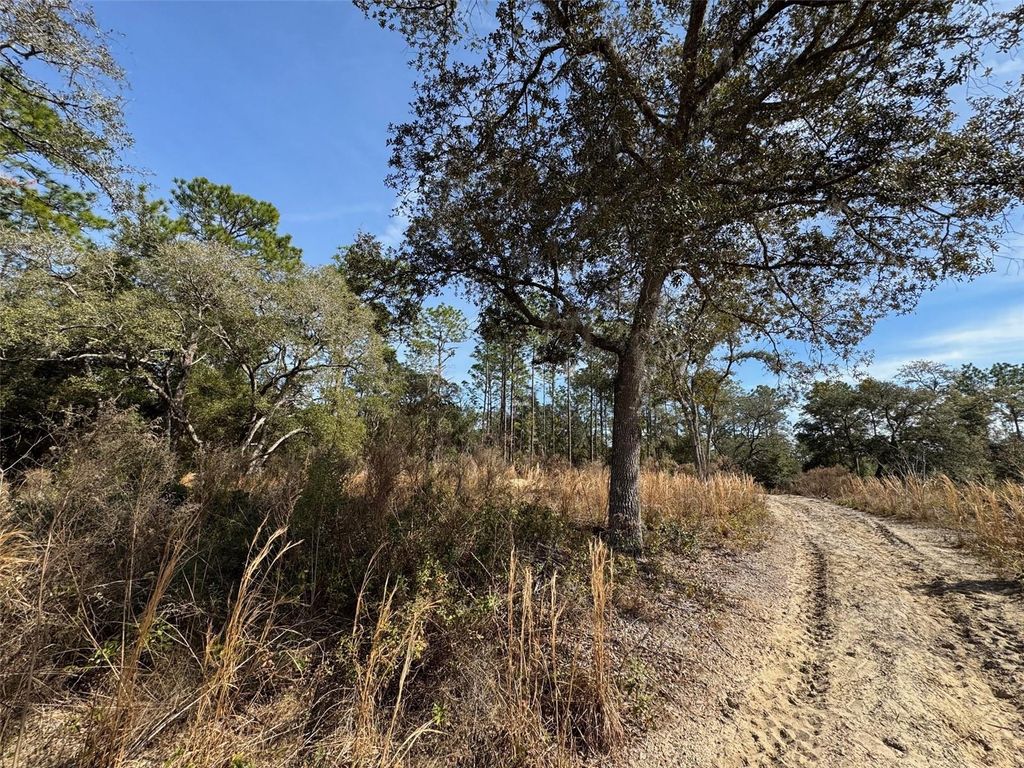 Photo of SW 175th Court, Dunnellon, FL 34432 (MLS # OM694021)