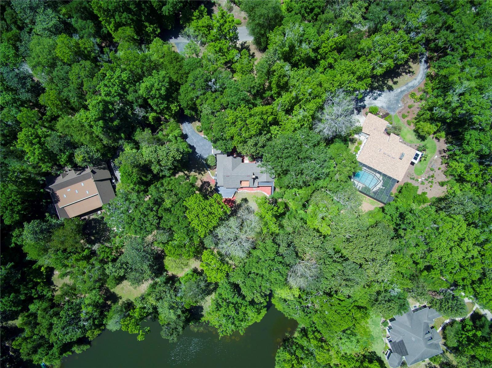 HAMMOCK THE - Residential