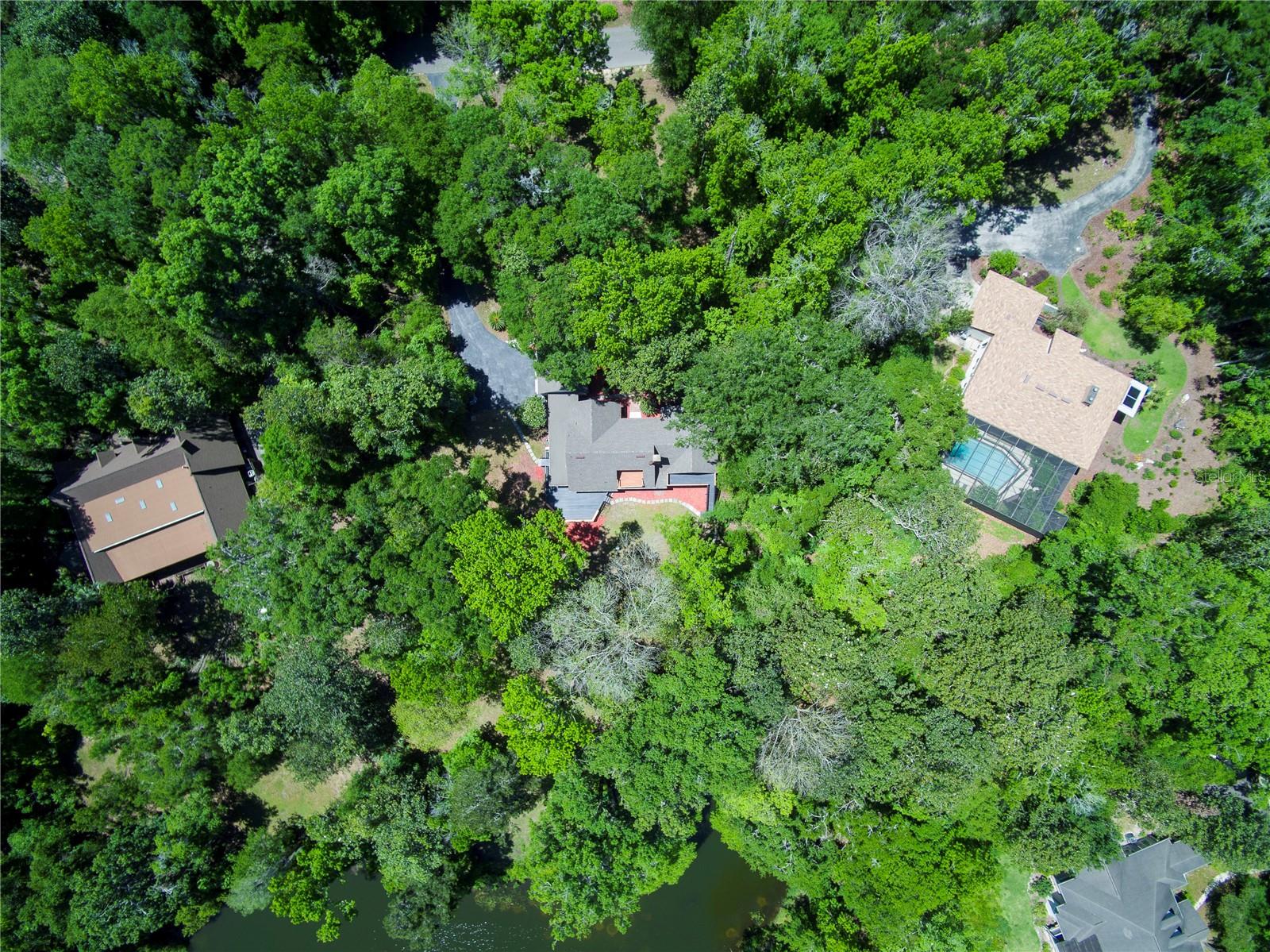 HAMMOCK THE - Residential