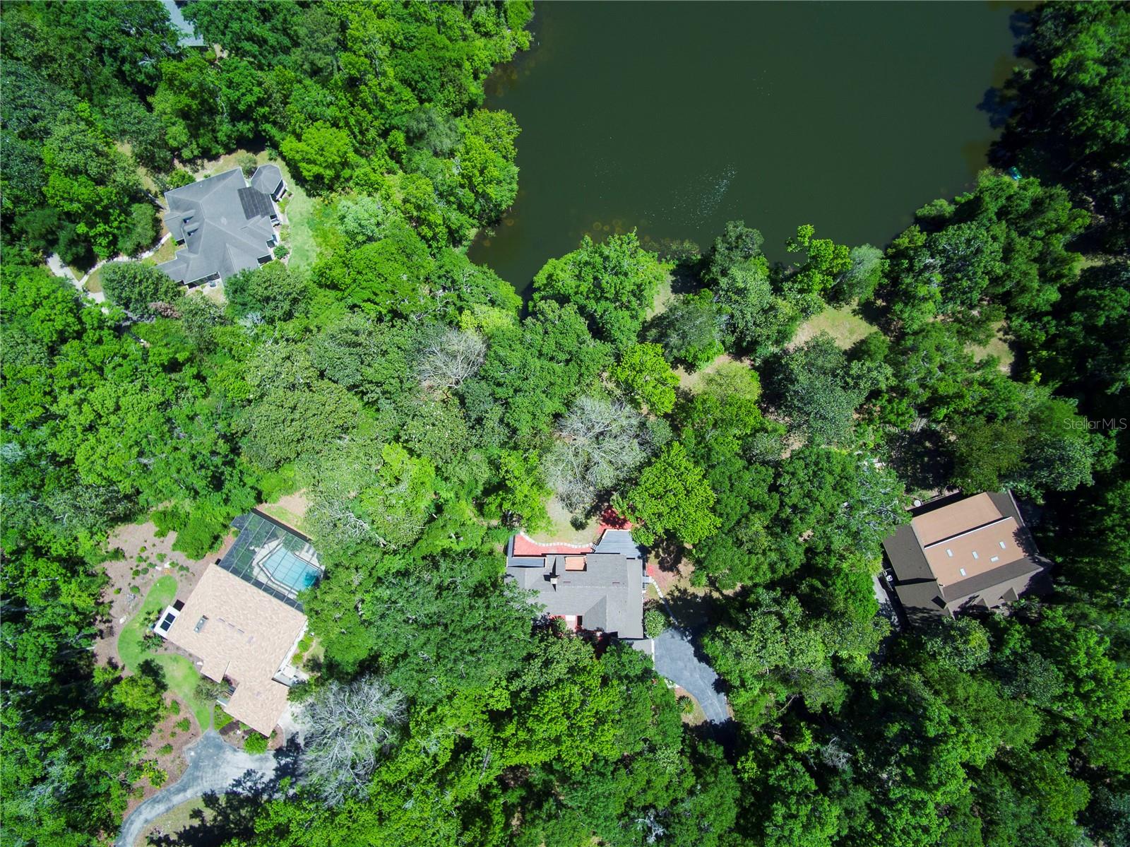 HAMMOCK THE - Residential