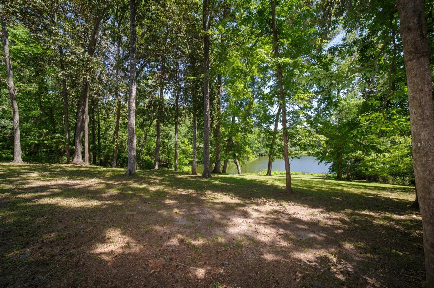 HAMMOCK THE - Residential