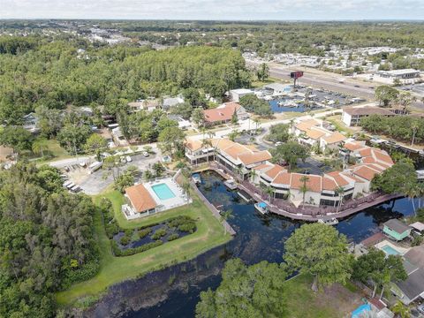 A home in PALM HARBOR