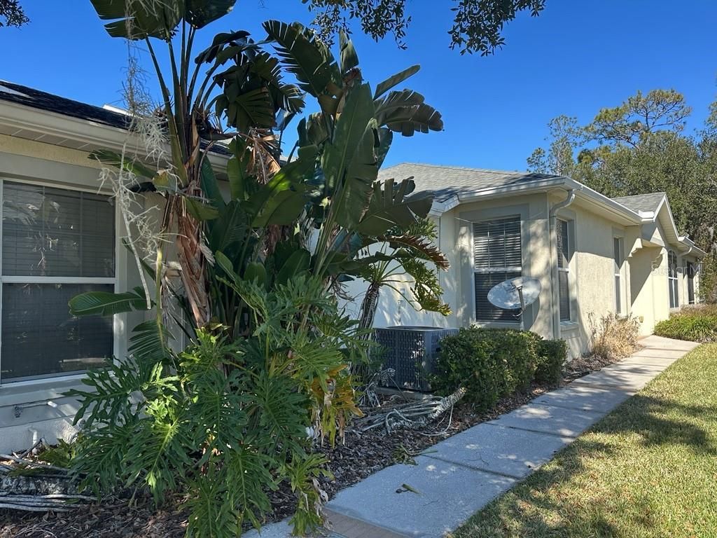 Photo of 3450 Chapel Creek Circle, Wesley Chapel, FL 33544 (MLS # TB8472350)