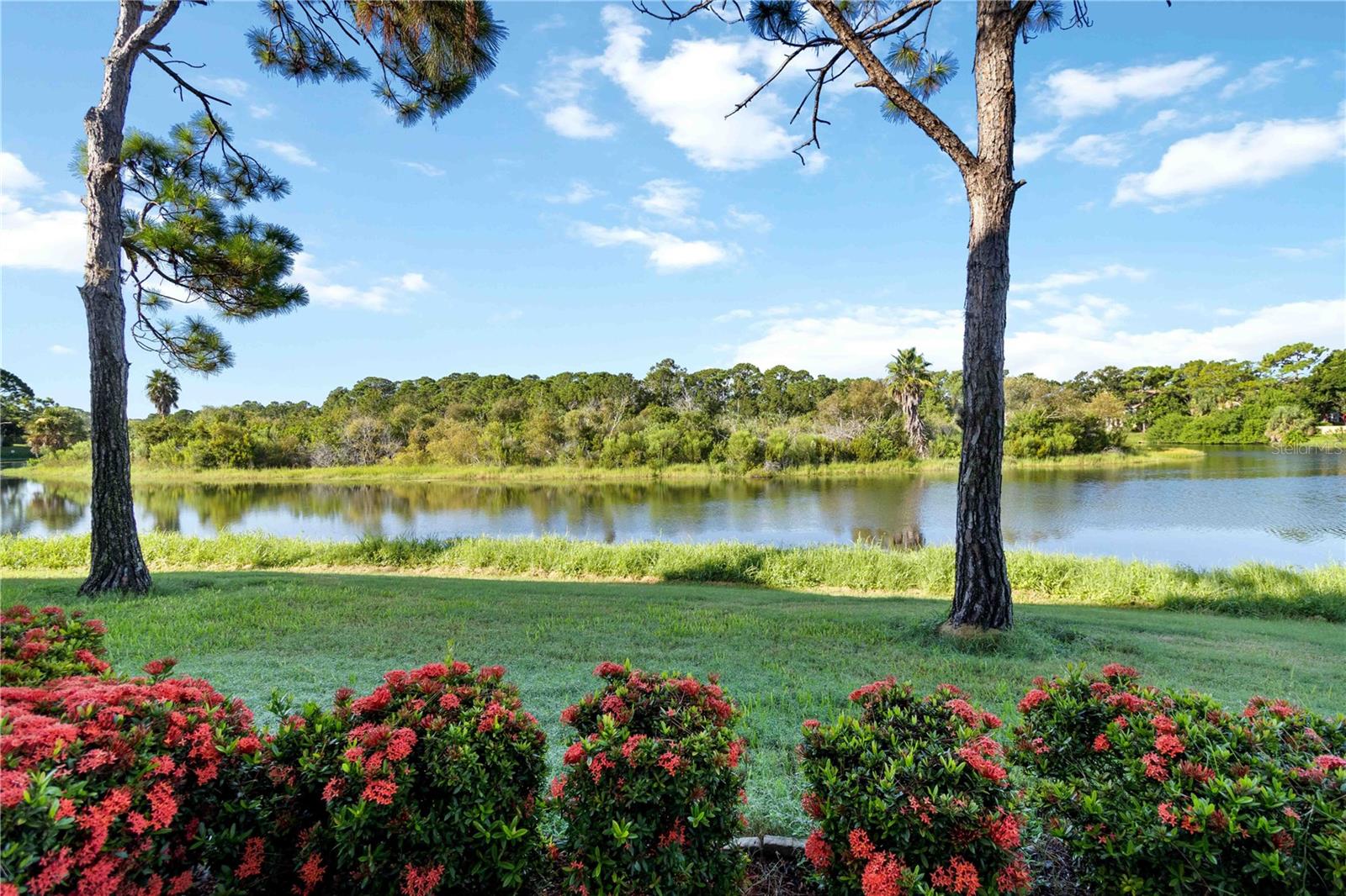 PINESTONE AT PALMER RANCH - Residential