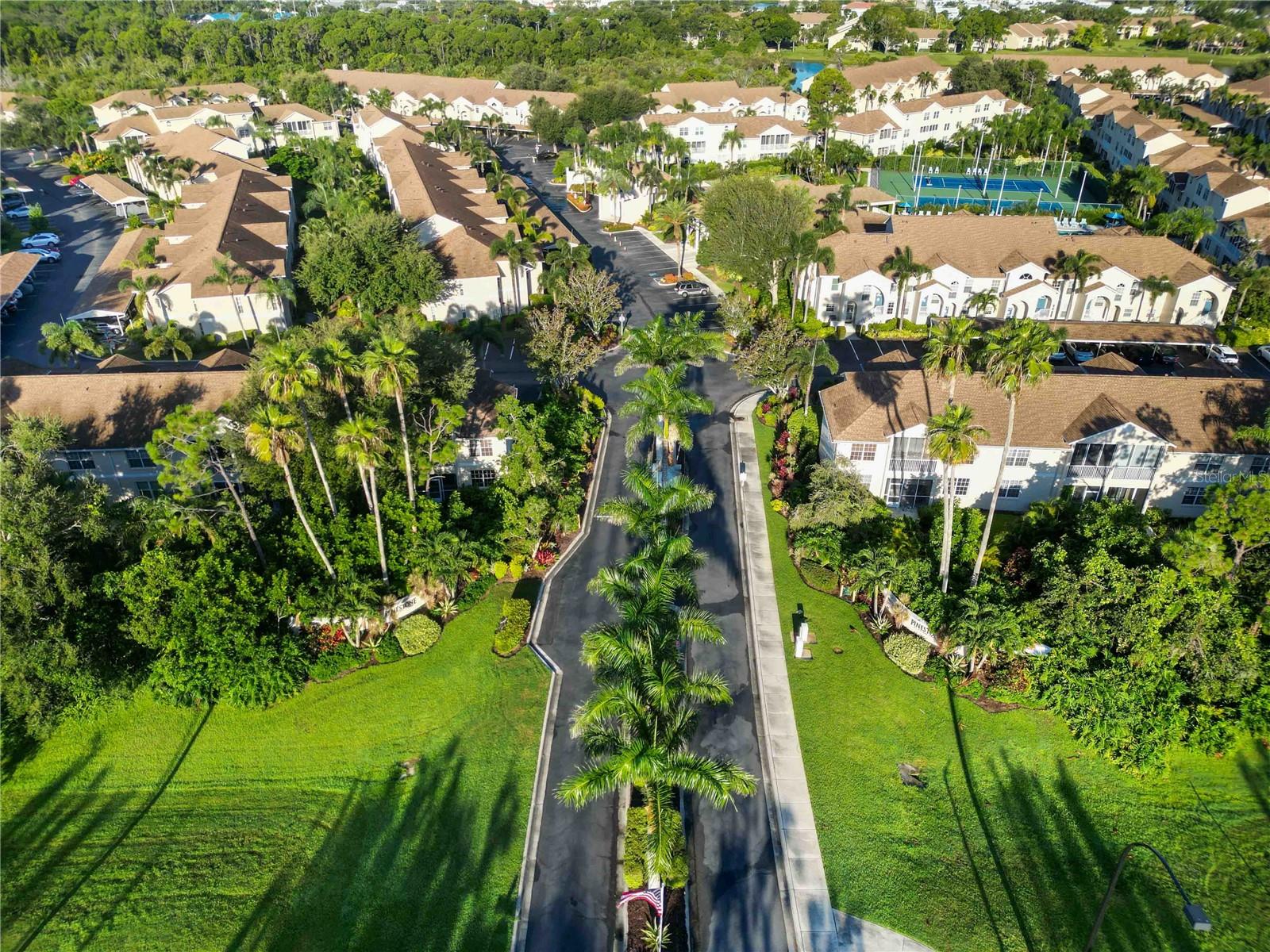 PINESTONE AT PALMER RANCH - Residential