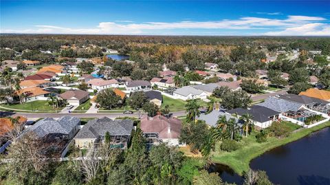 A home in LAND O LAKES